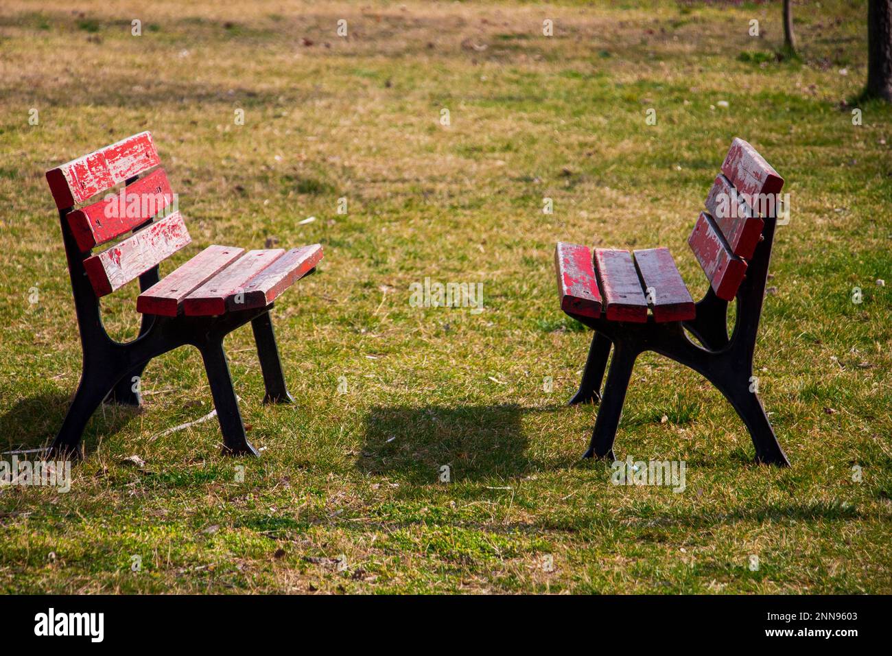 Due vecchie panchine di colore rosso che si erodano l'una di fronte all'altra sull'erba Foto Stock