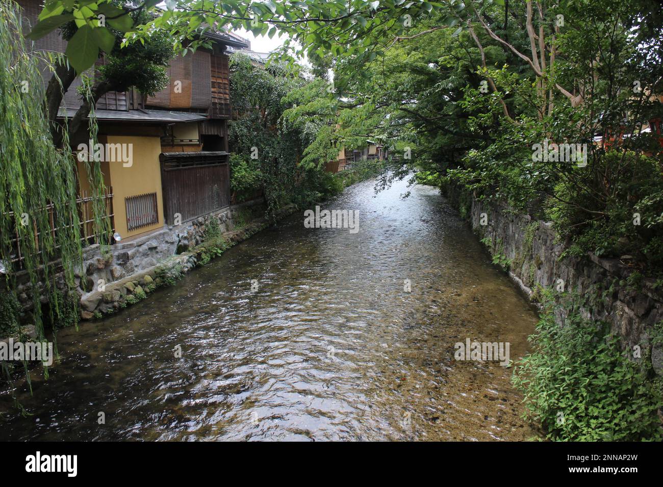 Shirakawa-minami-dori, la città vecchia di Kyoto, Giappone Foto Stock