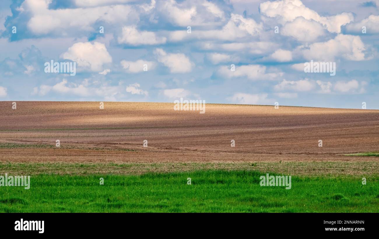 Un campo arato agricolo. Nuvole di tempesta pesante. Molla. Panorama Foto Stock