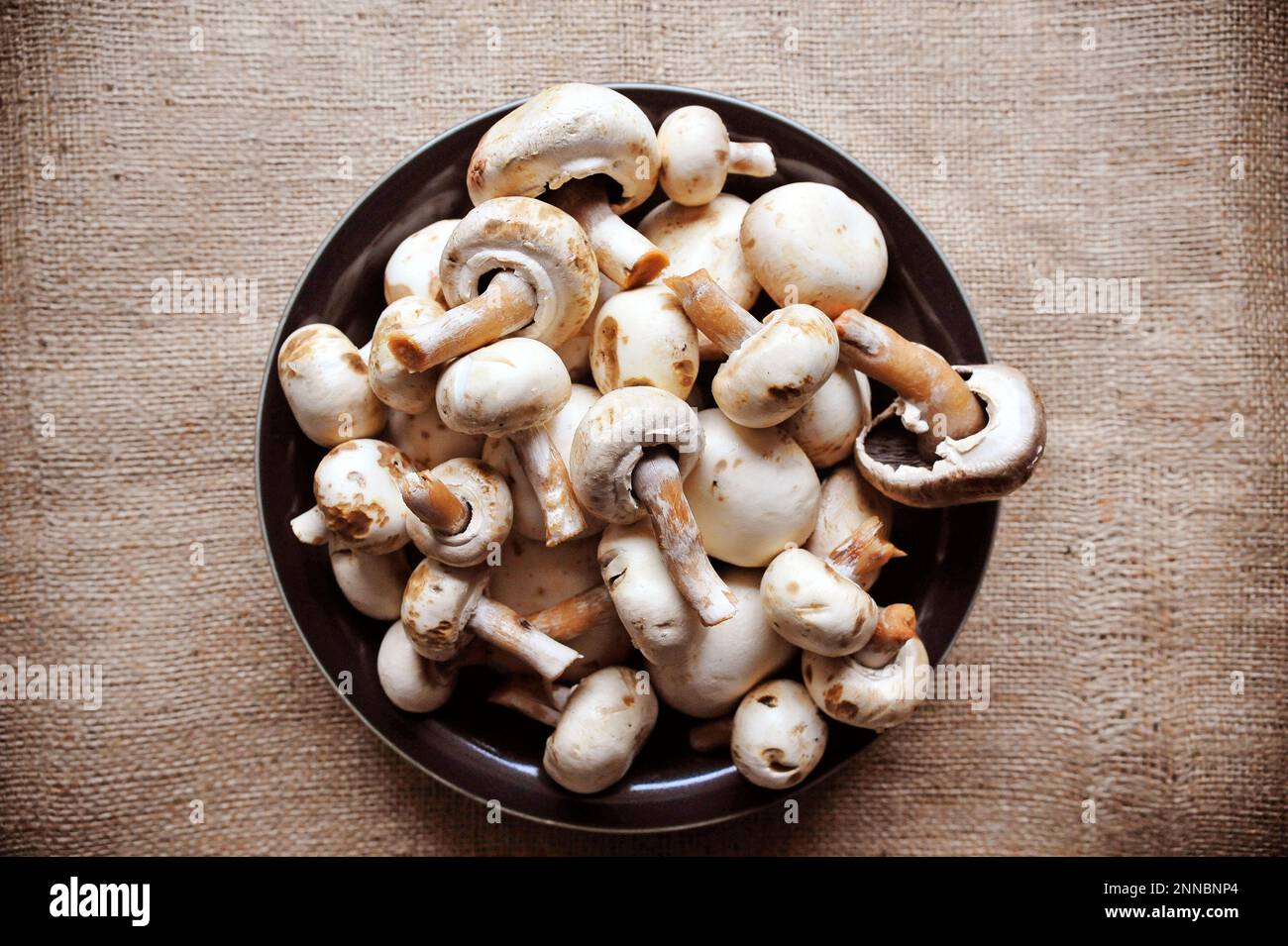Funghi Champignon anche funghi bottoni bianchi su sfondo di iuta Foto Stock