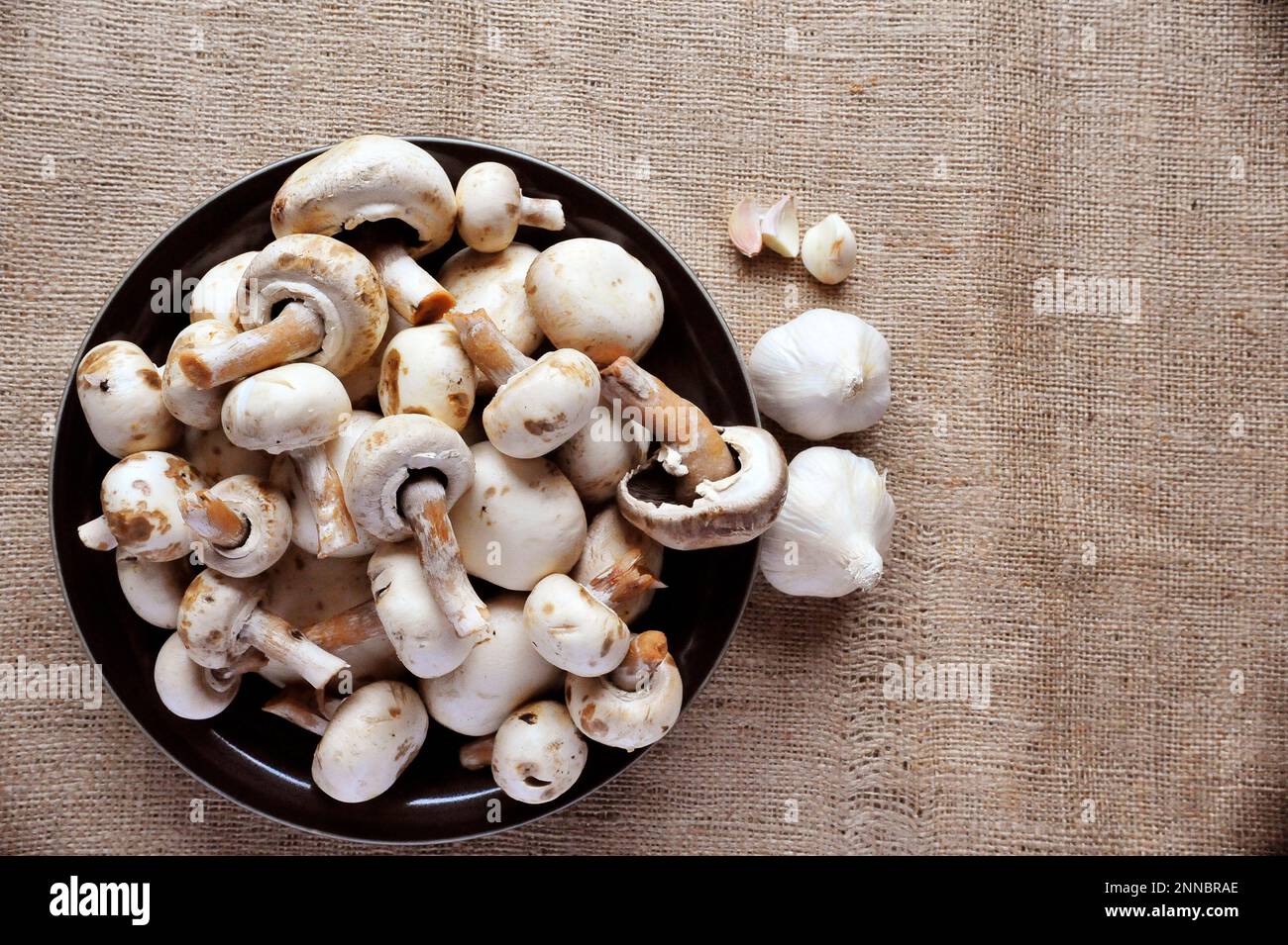 Funghi Champignon anche funghi bottoni bianchi su sfondo di iuta Foto Stock