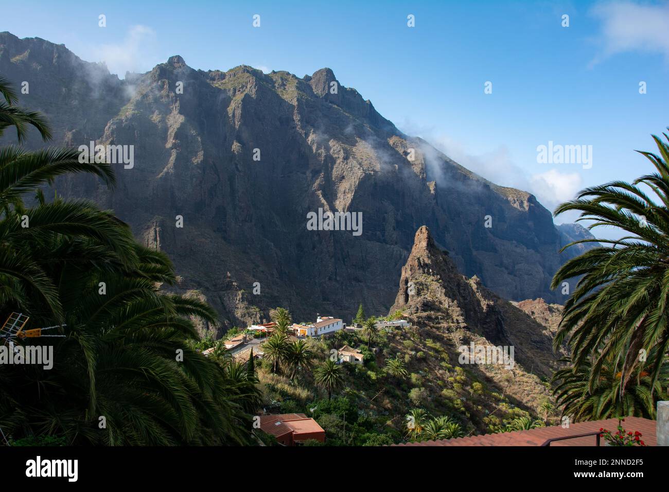 Il piccolo villaggio di montagna di Masca, mit Palm Tree in Teno montagne sull'isola delle Canarie di Tenerife, Spagna, Europa Foto Stock