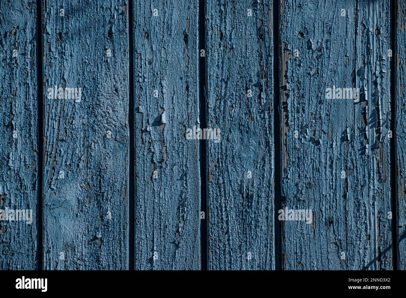 colore blu dipinto struttura in legno vecchio spaccato, sfondo antico, vintage albero parete, cracking pavimenti vernice. Foto Stock