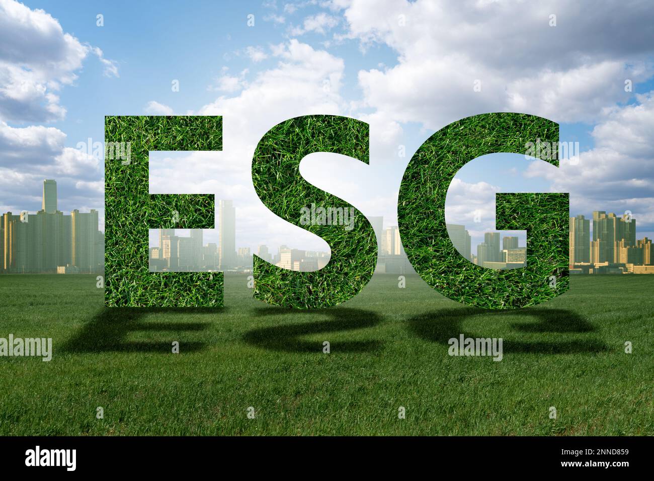 Concetto di ESG - quadro ambientale, sociale e di governance Foto Stock