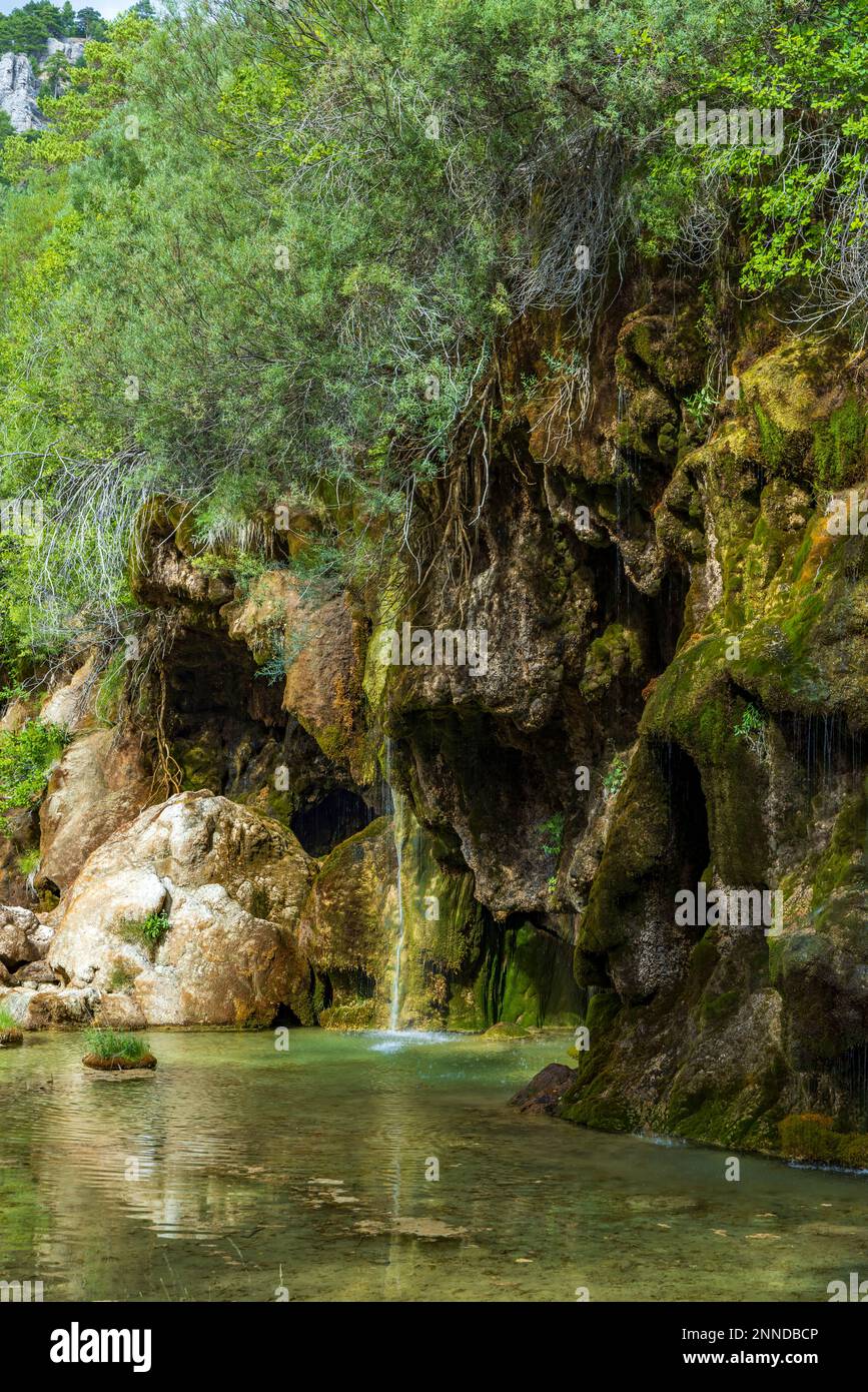 La sorgente del fiume Cuervo (Nacimiento del Rio Cuervo) a Cuenca, Castilla la Mancha, Spagna Foto Stock