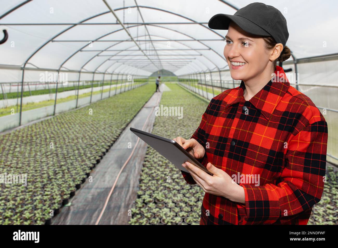 Una donna contadina tiene in mano un tablet e rimane accanto alle serre. Tecnologie in agricoltura. Foto Stock