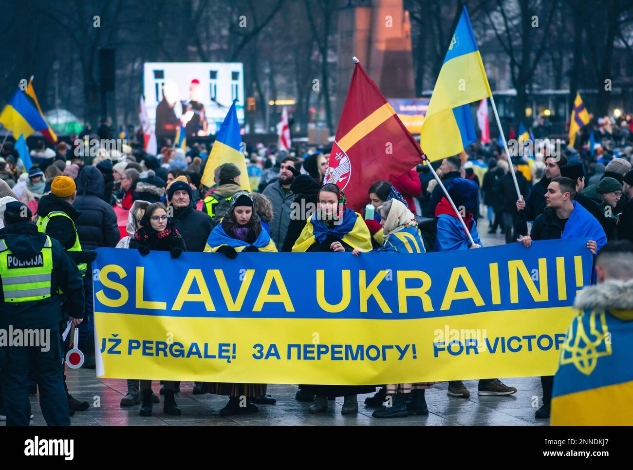 Persone con bandiere ucraine nella piazza della Cattedrale di Vilnius durante una manifestazione contro la guerra, un anno anniversario dall'invasione Foto Stock