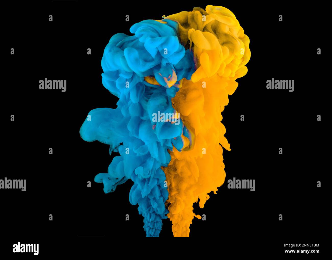 Nuvole di inchiostro blu e giallo che si scontrano in acqua, creando vivaci forme astratte su sfondo nero. Foto Stock