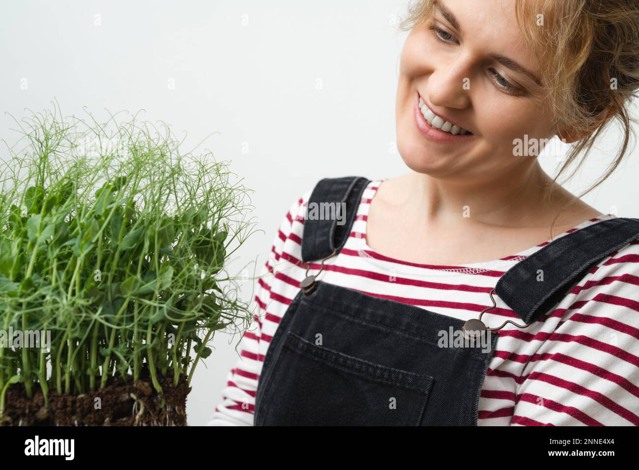 Una donna sta tenendo un micro verde nelle sue mani. Primo piano. Foto Stock