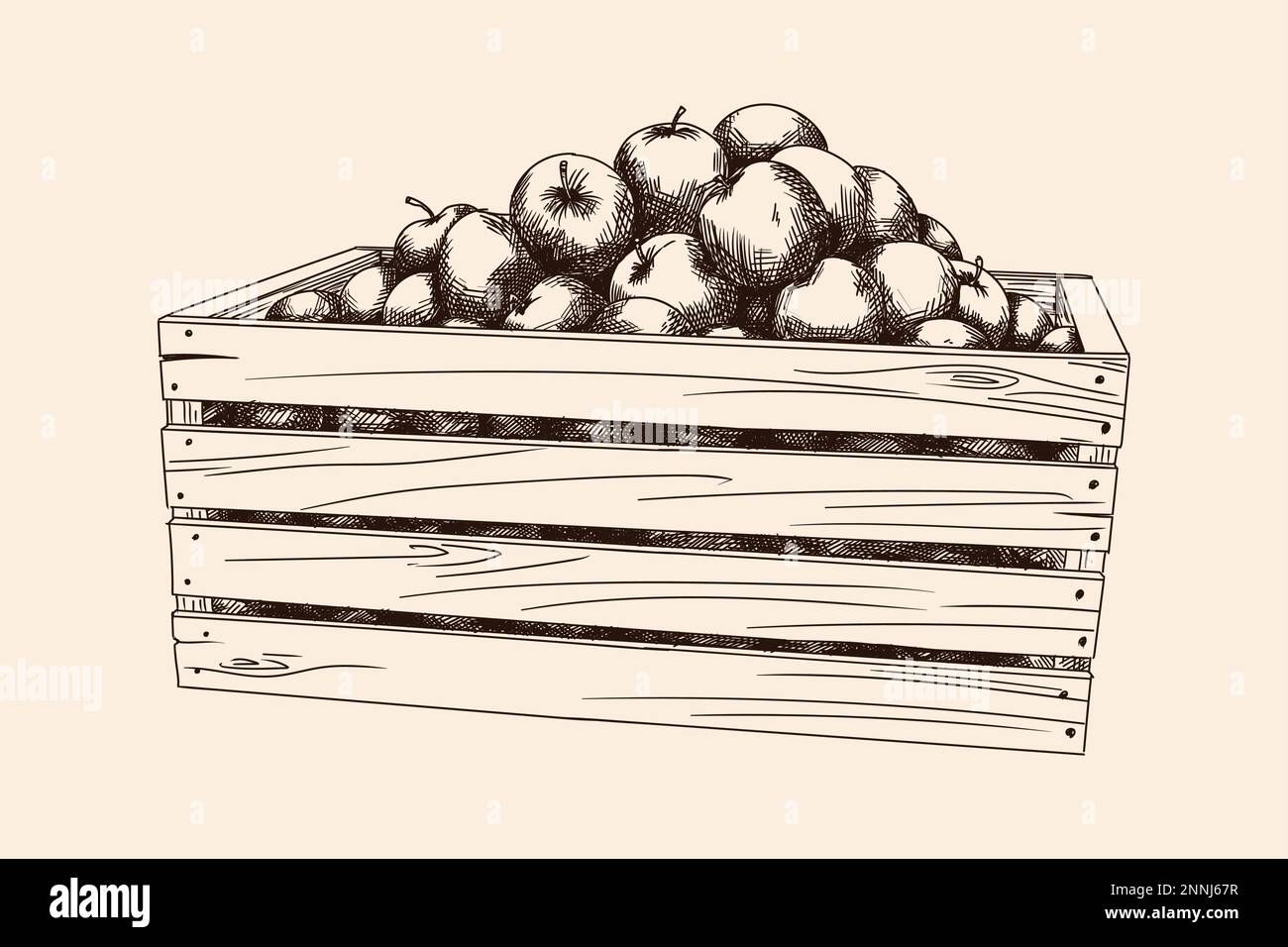 Scatola di legno piena di mele mature. Illustrazione Vettoriale