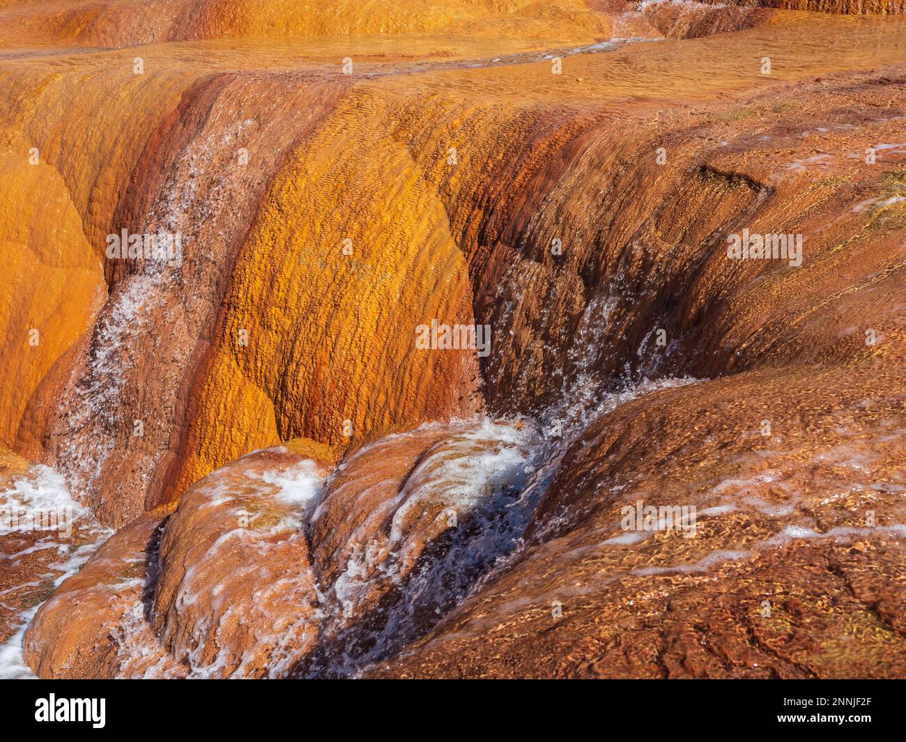 Crystal Geyser vicino a Green River, Utah. Foto Stock