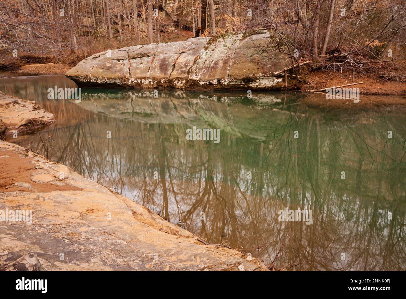 Bell Smith Springs Foto Stock