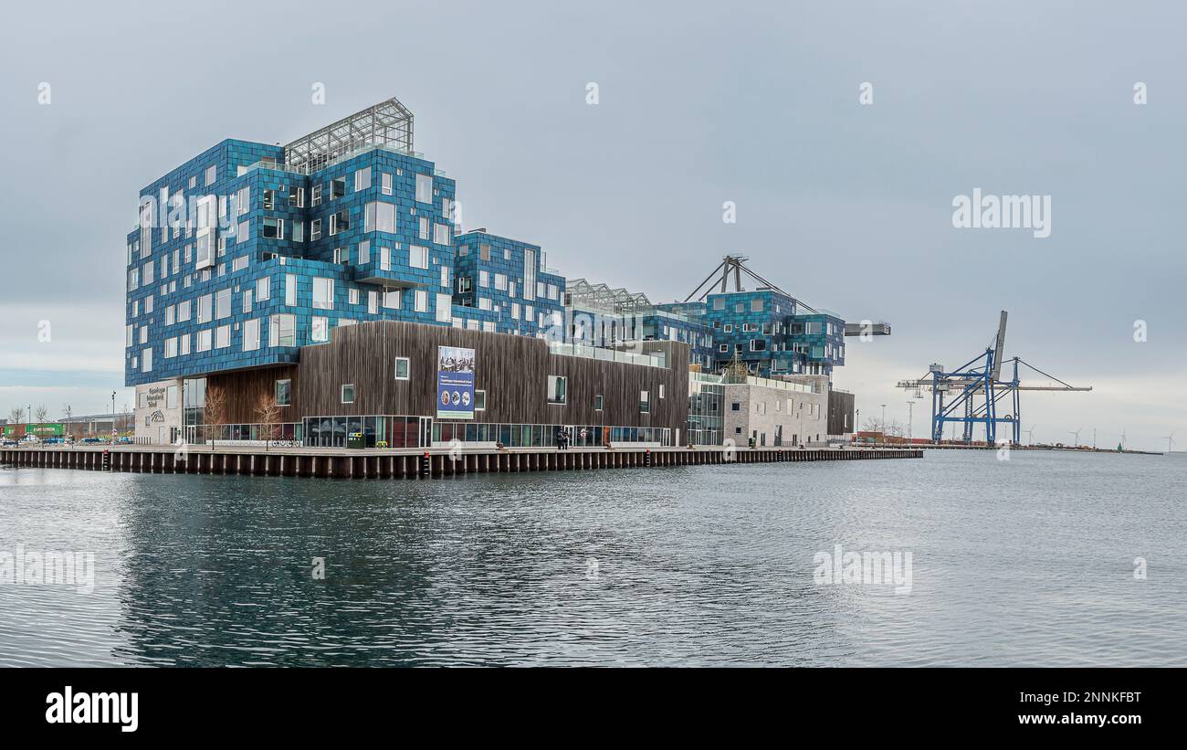 Scuola internazionale di Copenaghen situata a Orientkaj, nel porto nord di Copenhaven, 18 febbraio 2023 Foto Stock