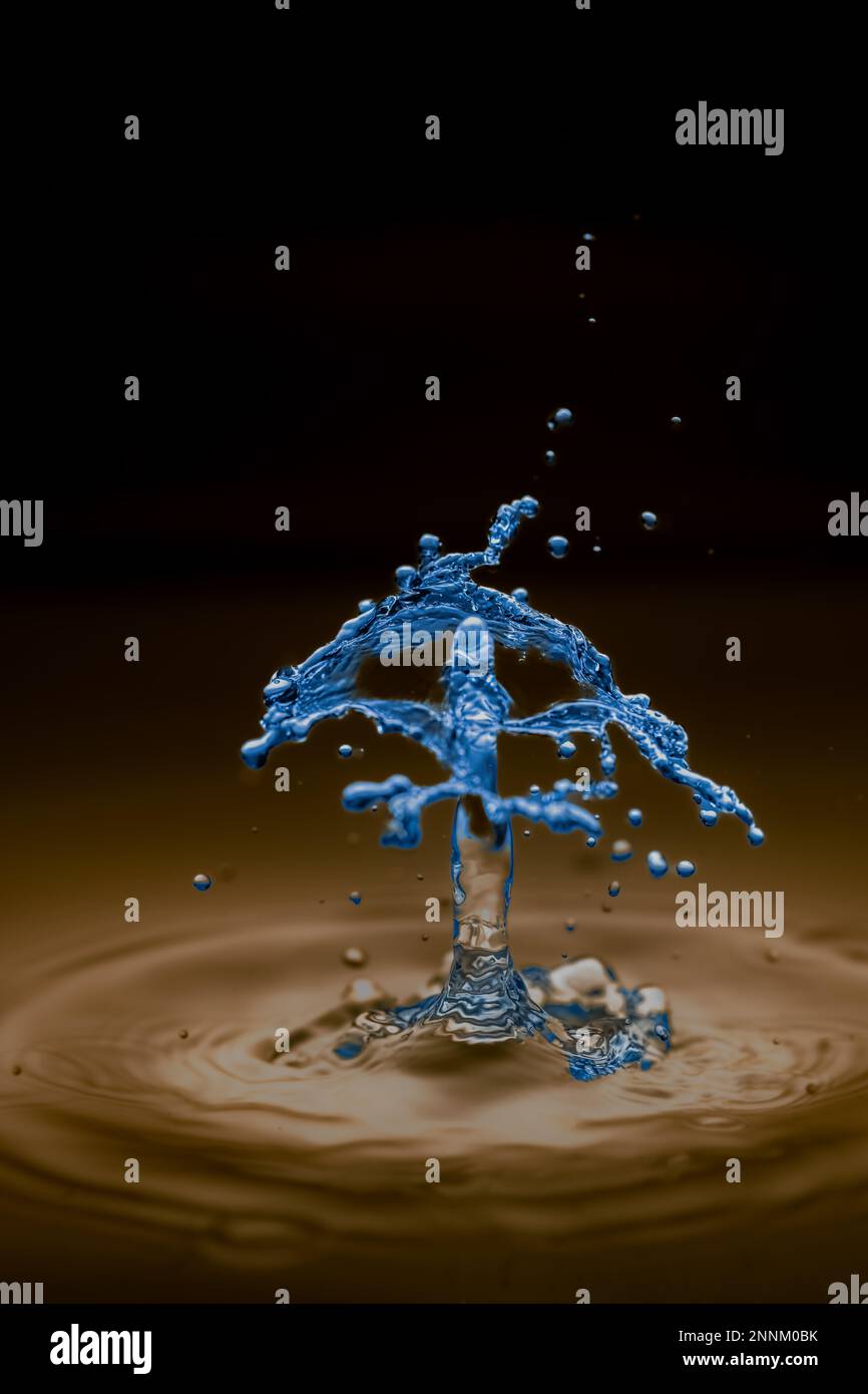 Macro fotografia gocce d'acqua fotografate con il grilletto Plutone Foto Stock