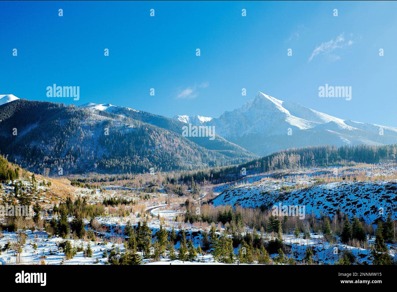 Valle silenziosa e collina di Krivan in alta Tratras, Slovacchia Foto Stock