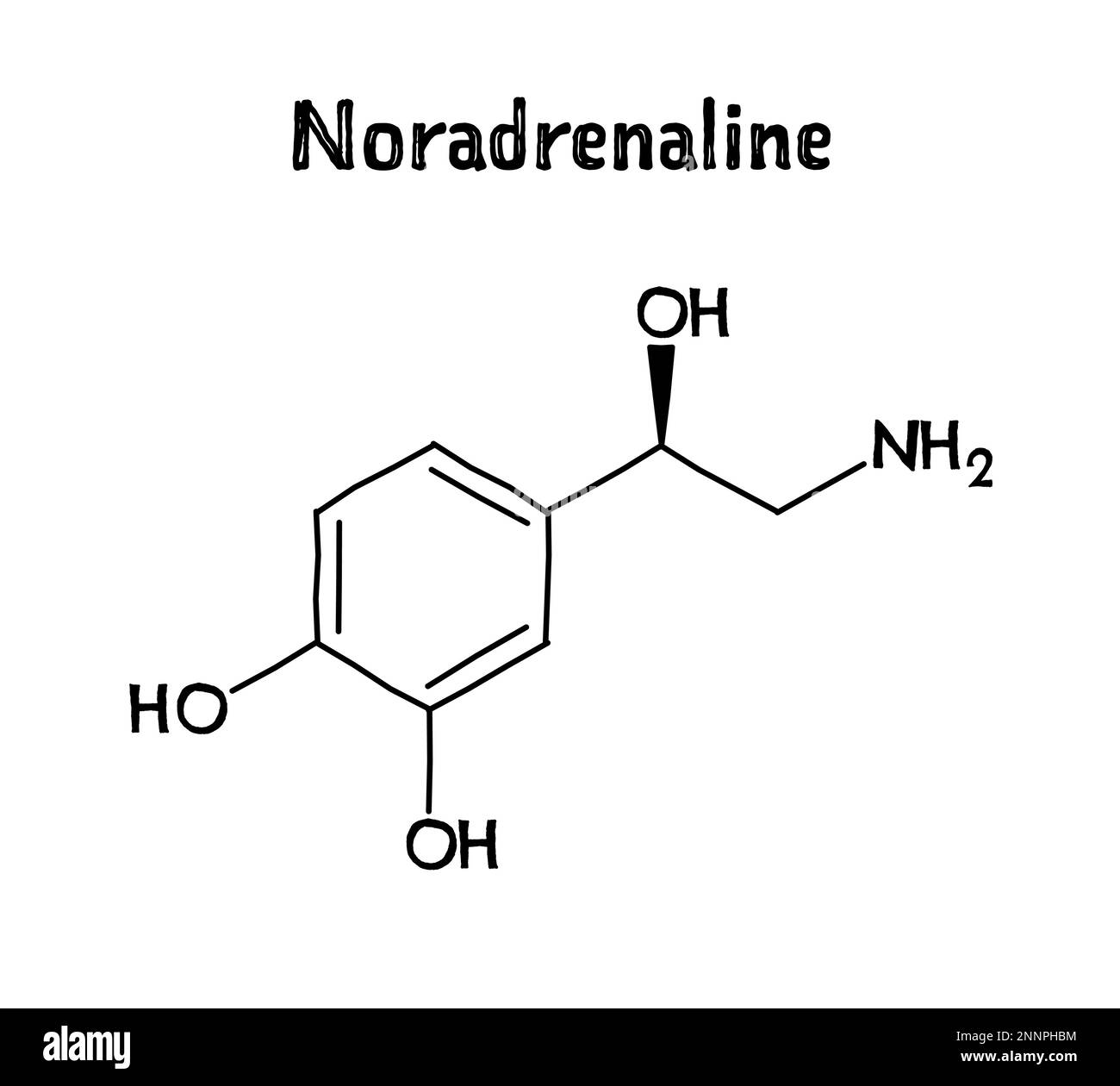 Struttura molecolare della noradrenalina. La noradrenalina, o norepinefrina, è neurotrasmettitore e ormone nel corpo umano. .Formula strutturale vettoriale del composto chimico. Penna nera stile disegnato a mano. Illustrazione Vettoriale