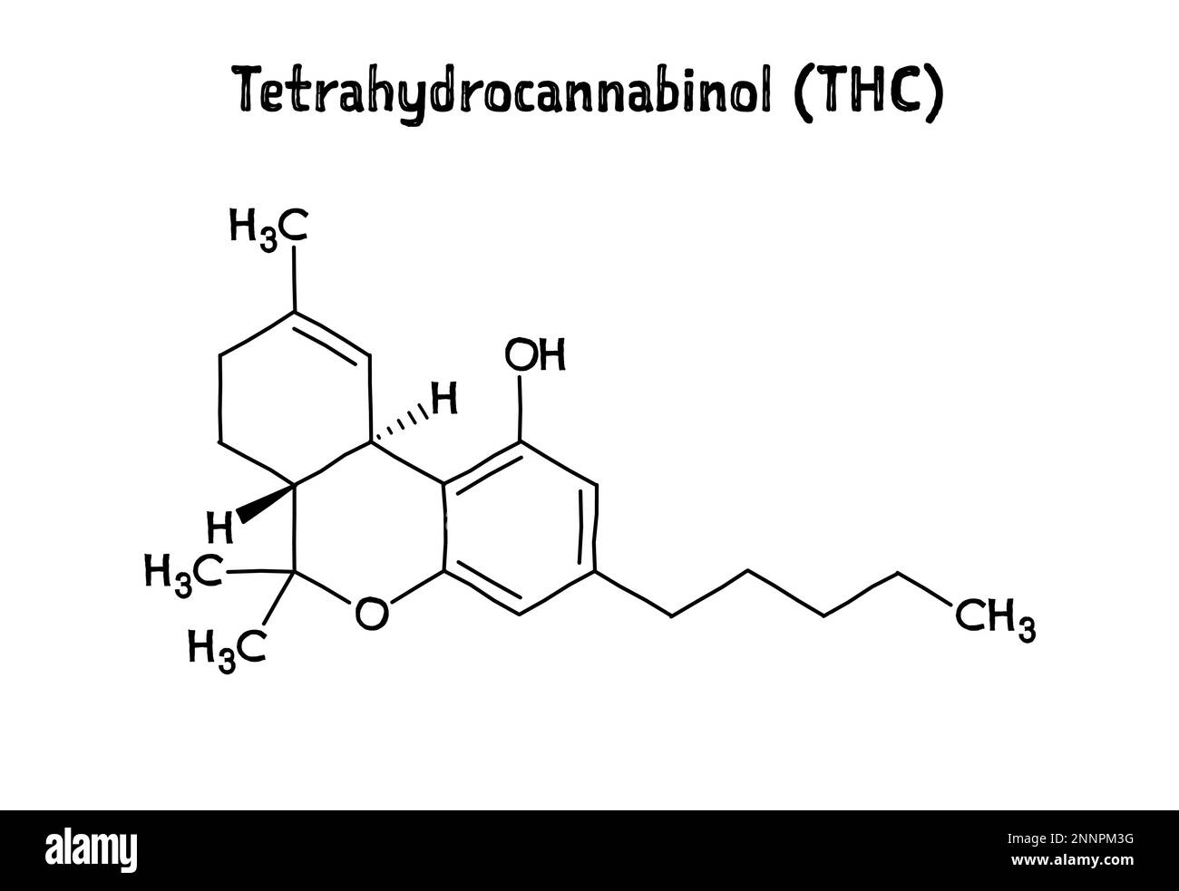 Tetraidrocannabinolo, o THC, struttura molecolare. Il tetraidrocannabinolo è il principale farmaco psicoattivo della cannabis. .Formula strutturale vettoriale del composto chimico. Penna nera stile disegnato a mano. Illustrazione Vettoriale