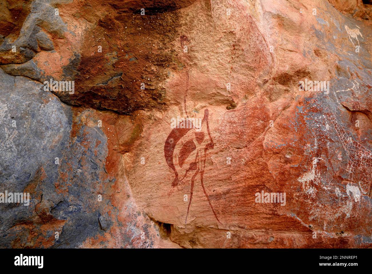Disegno roccioso di uno struzzo nella grotta De Riet, vicino a De Riet, regione di Kunene, Namibia Foto Stock