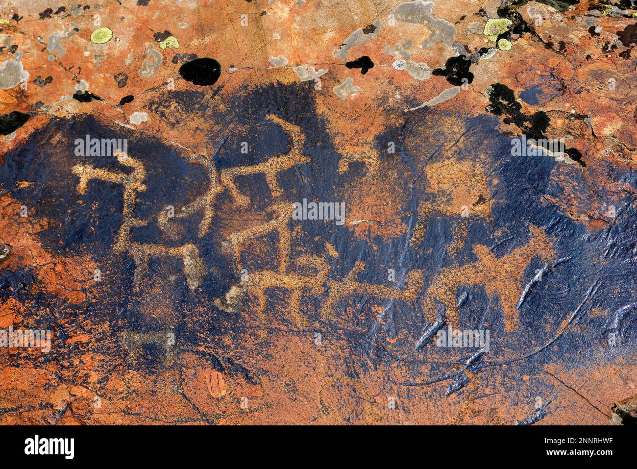 Petroglifi dello stambecco siberiano (Capra sibirica), fino a 2500 anni, Valle del Karakol occidentale, Monti Tien Shan, regione di Naryn, Kirghizistan Foto Stock