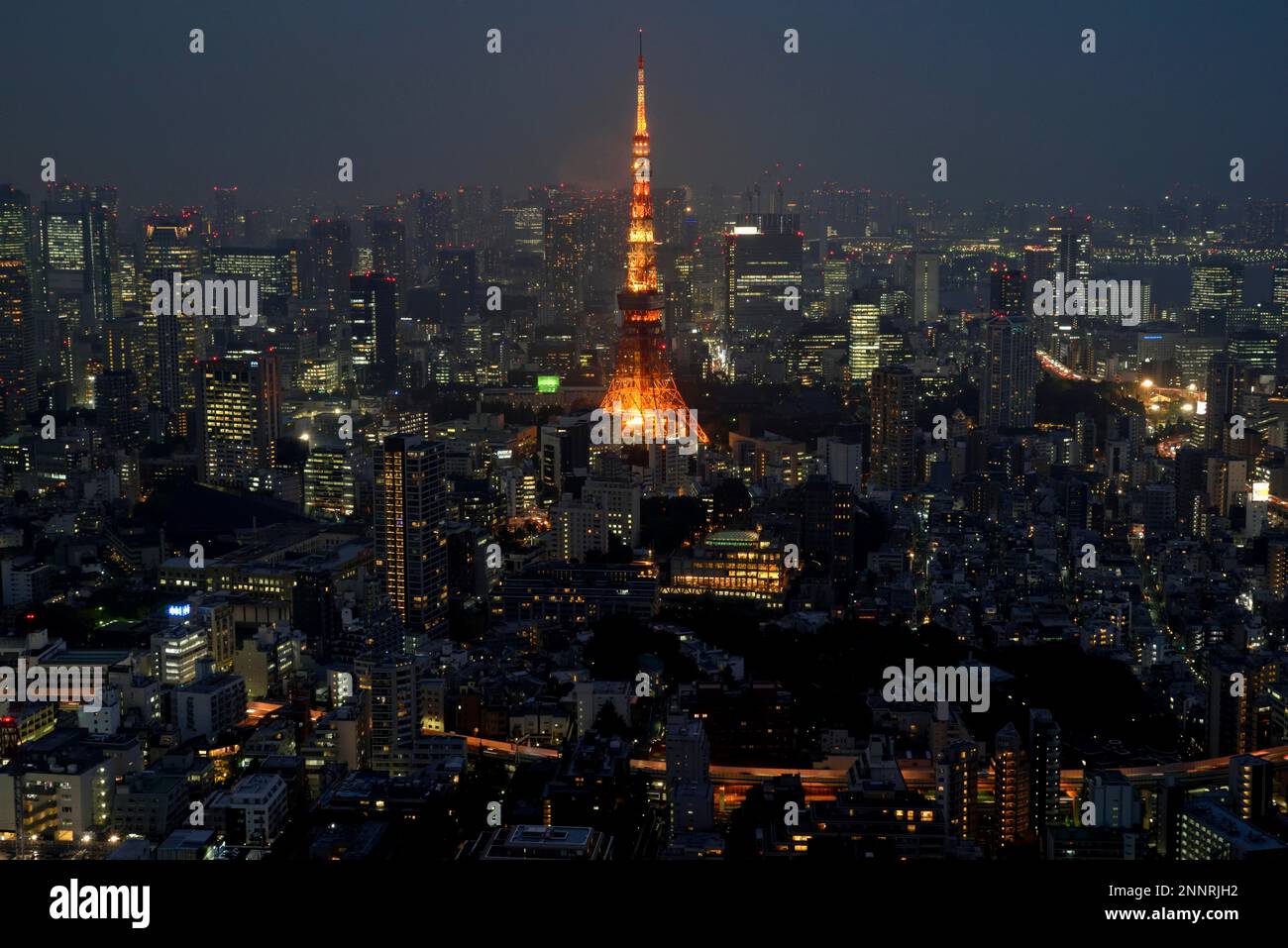 Vista dalla Mori-Tower alla città illuminata di notte con la Torre dei Toky, le colline di Rappongi, Tokyo, Giappone Foto Stock