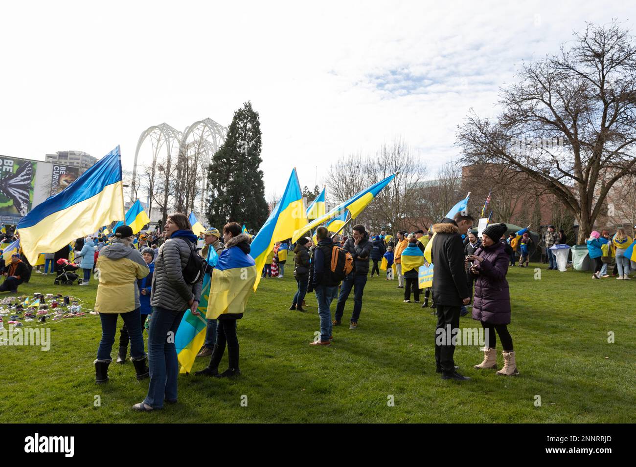 Seattle, Washington, Stati Uniti. 25th febbraio, 2023. Il Seattle Center è inondato di bandiere ucraine mentre centinaia di sostenitori si riuniscono per celebrare il primo anniversario dell'invasione russa dell'Ucraina. Il rally “365 giorni di difesa della libertà” è stato organizzato dall’Associazione Ucraina dello Stato di Washington e dalla Chiesa Ucraina Ortodossa di Seattle. Credit: Paul Christian Gordon/Alamy Live News Foto Stock