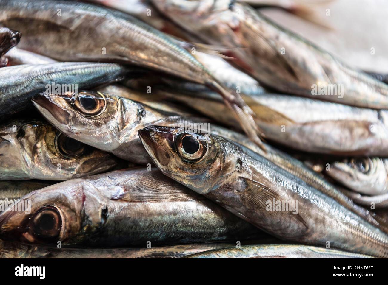 Mercato del pesce, Funchal, Madeira, Portogallo Foto Stock