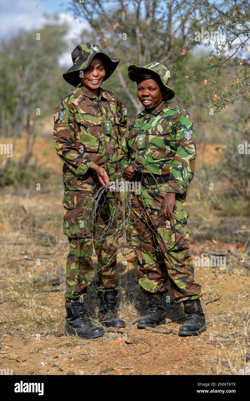 Due donne dell'unità anti-poacher Mambas nero con i serpenti del poacher confiscati, riserva di gioco di Balule, provincia di Limpopo, Sudafrica Foto Stock