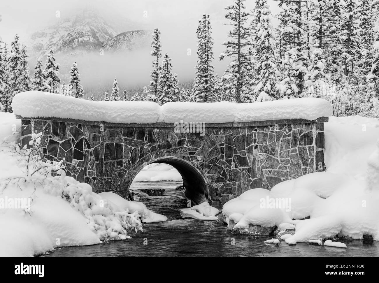 Foto in bianco e nero del Lake Louise Creek Bridge in inverno, Lake Louise, Alberta, Canada Foto Stock
