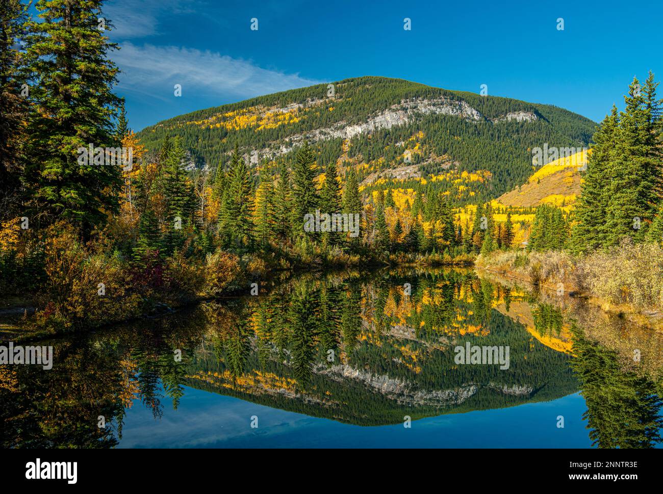 I colori di montagna e autunno si riflettono in Lorette Pond, Mount Lorette, Alberta, Canada Foto Stock
