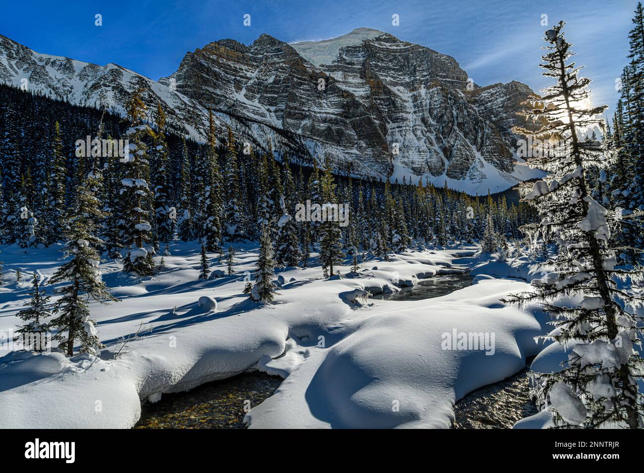 Paradise Creek coperto di neve e Mount Temple in inverno, Lake Louise, Alberta, Canada Foto Stock