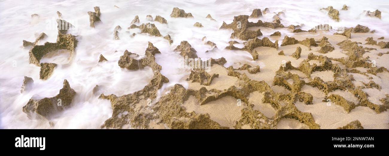 Mare di Cortes surf sulla spiaggia, El Cardonal, Baja California sur, Messico Foto Stock