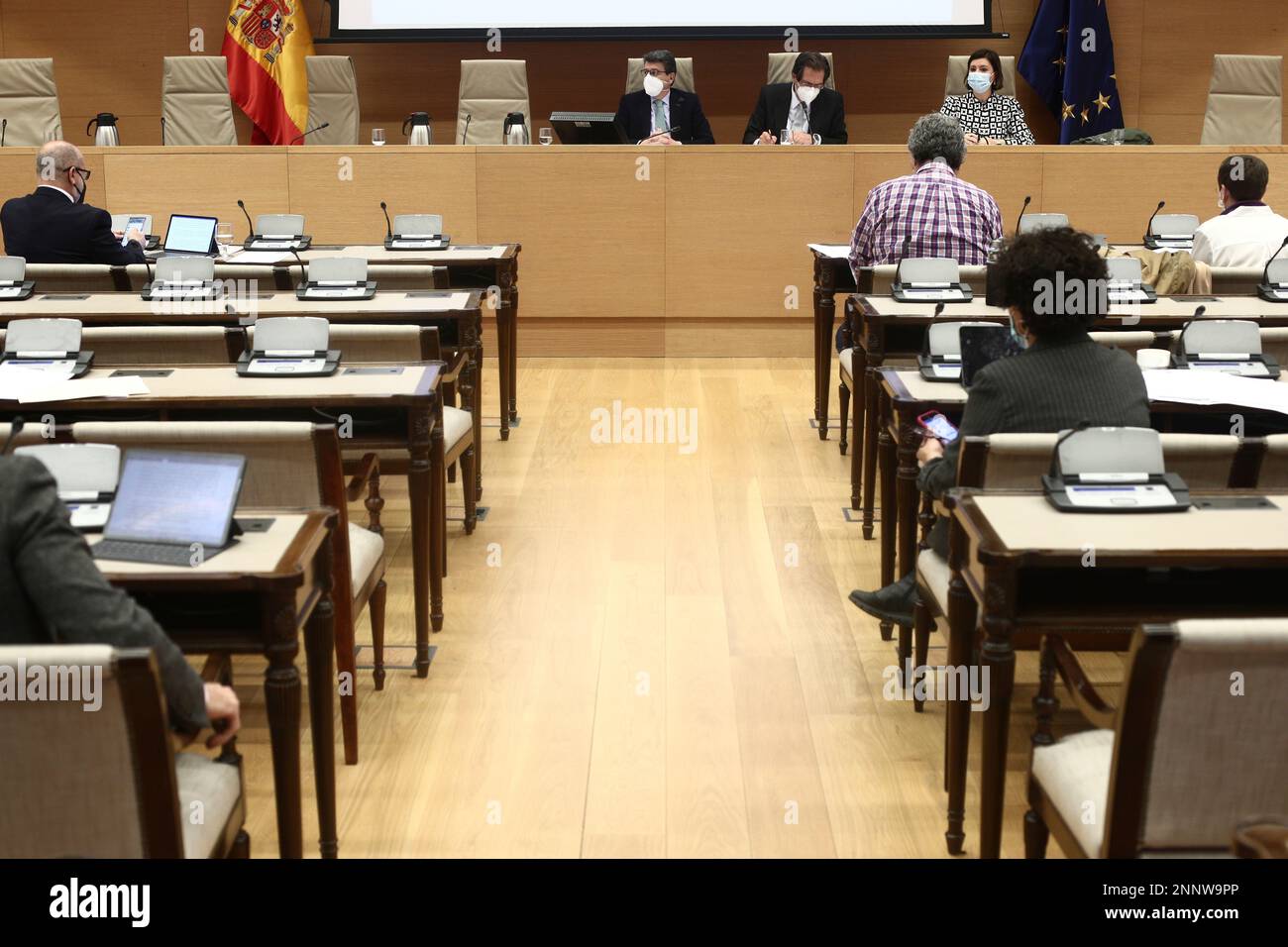Commission on Road Safety in the Congress of Deputies, in Madrid, (Spain), 18 February 2021. The appearance will address the implementation of measures by the Directorate General of Traffic (DGT) to raise awareness and promote the use of bicycles, the reform of traffic regulations with measures to increase the protection and safety of cyclists and collaboration with the Spanish Federation of Municipalities and Provinces (FEMP) for the promotion of pacification criteria to ensure the implementation of appropriate cycling networks. 18 FEBRUARY 2021;DGT;ROAD SAFETY EUROPA PRESS/E. Parra. POOL 02/ Foto Stock