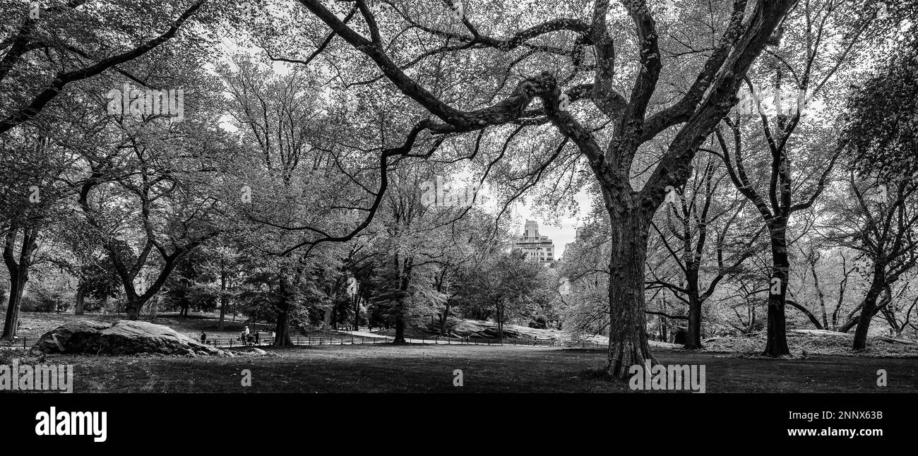 Il Central Park di New York City, New York, Stati Uniti d'America Foto Stock