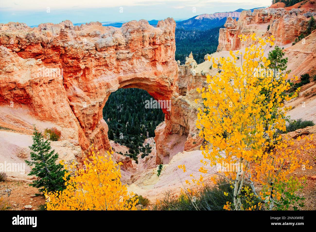 Scenario con formazione ad arco naturale, Bryce Canyon, Utah, USA Foto Stock
