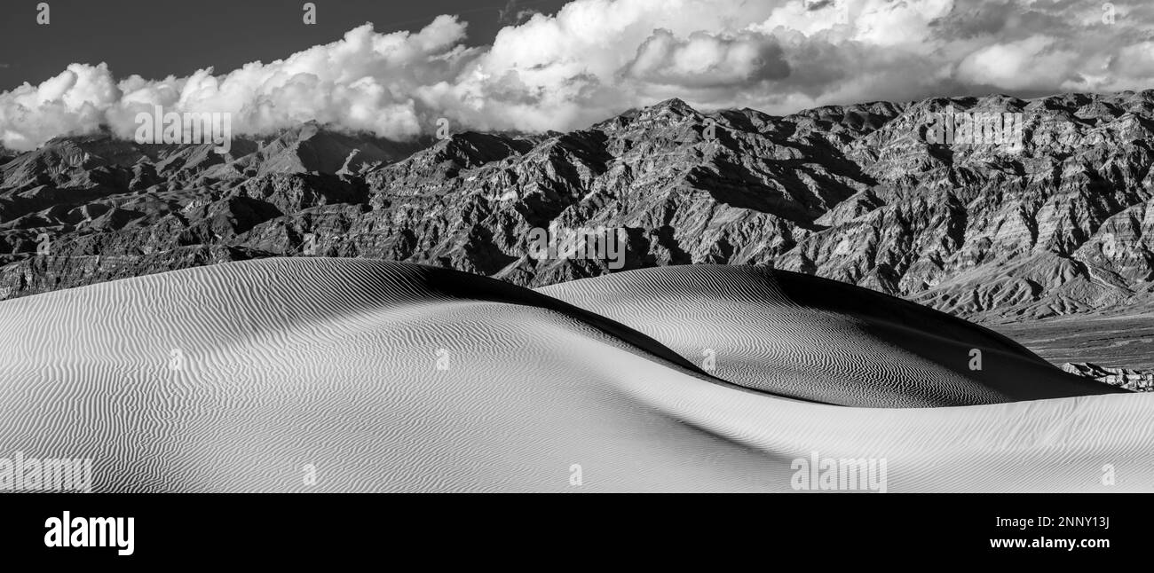 Mesquite Dunes contro le montagne di Amargosa, Death Valley National Park, California, USA Foto Stock