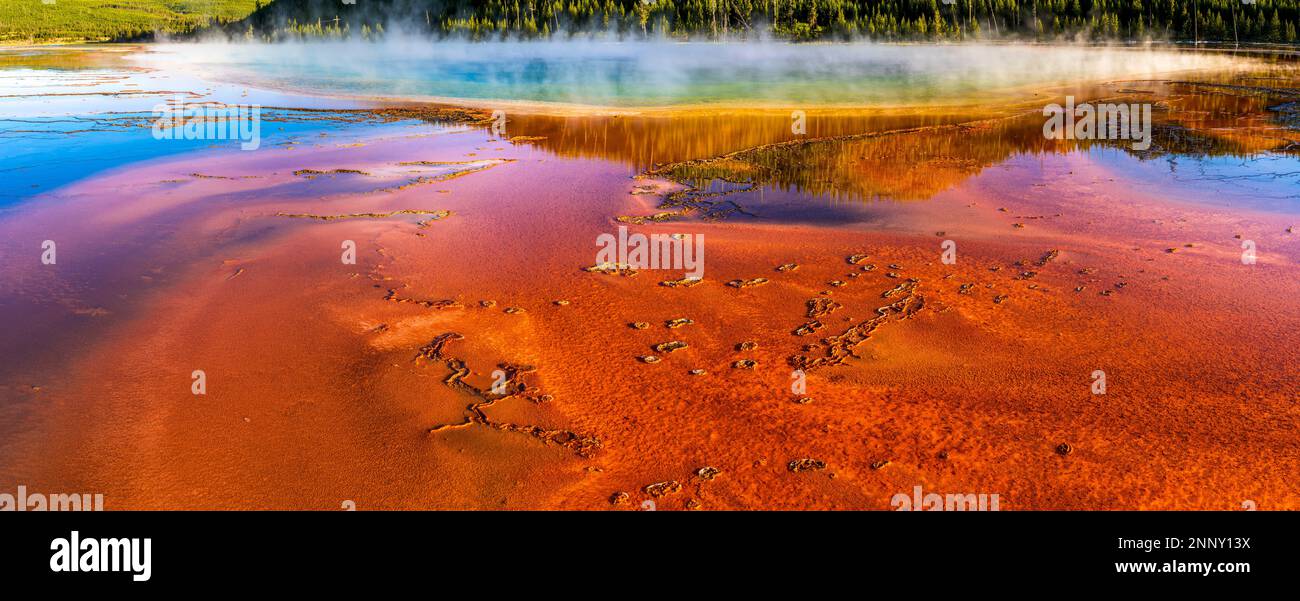 Grande primavera prismatica, bacino del geyser centrale, parco nazionale di Yellowstone, patrimonio dell'umanità dell'UNESCO, Wyoming, Stati Uniti Foto Stock