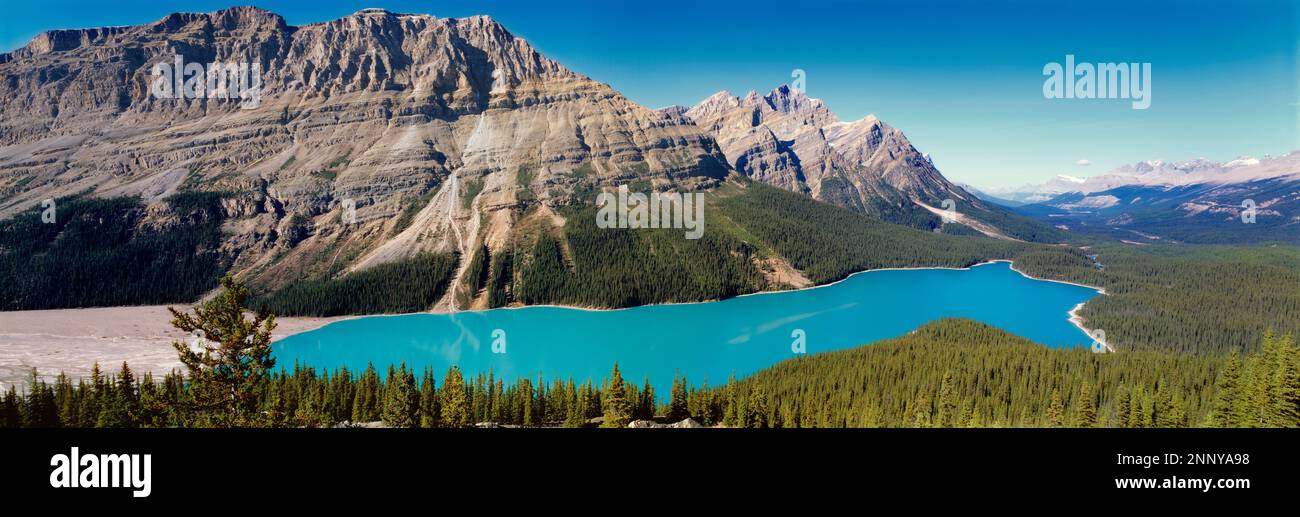 Lago Peyto e Canadian Rockies, Banff National Park, Alberta, Canada Foto Stock