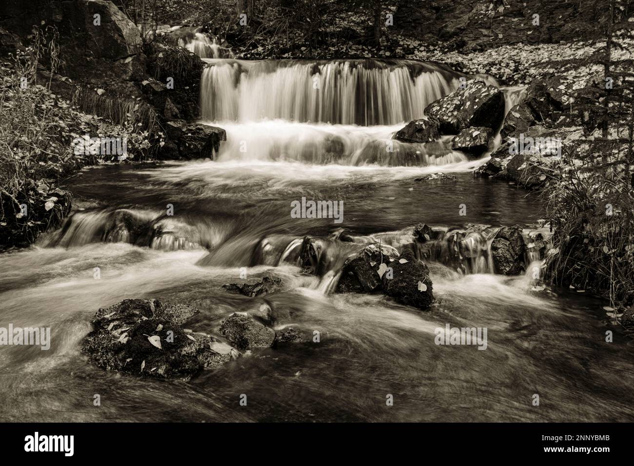 Cascata e ruscello in bianco e nero, Canmore Creek Hidden Falls, Canmore, Alberta, Canada Foto Stock