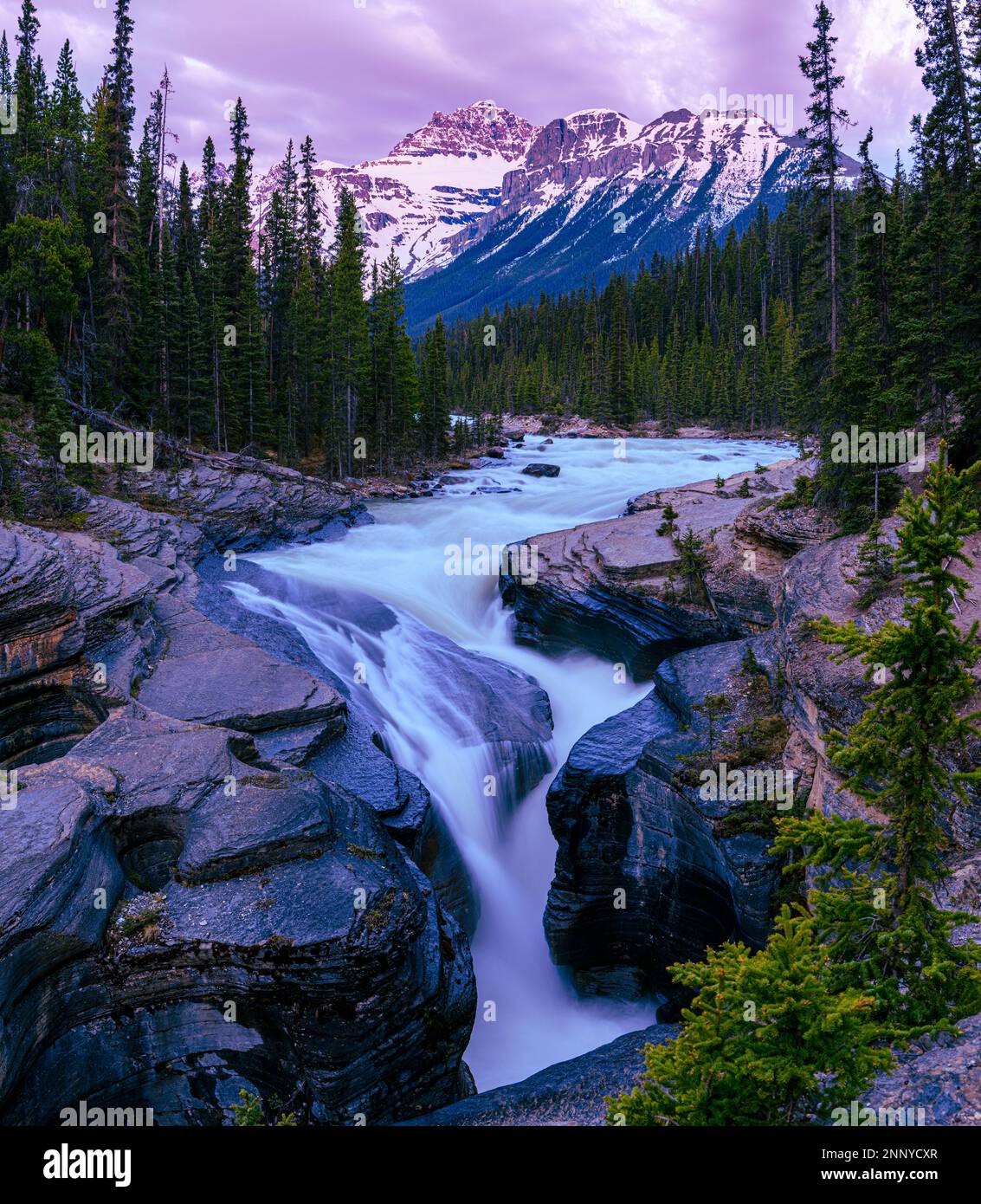 Mistaya fiume circondato da foresta, Monte Sarbach, Alberta, Canada Foto Stock