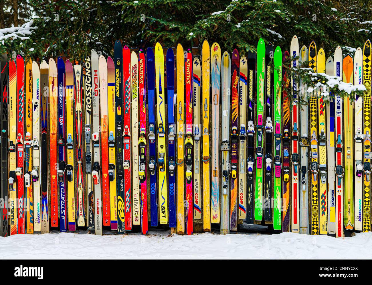 Recinzione fatta di sci multicolore, Canmore, Alberta, Canada Foto Stock