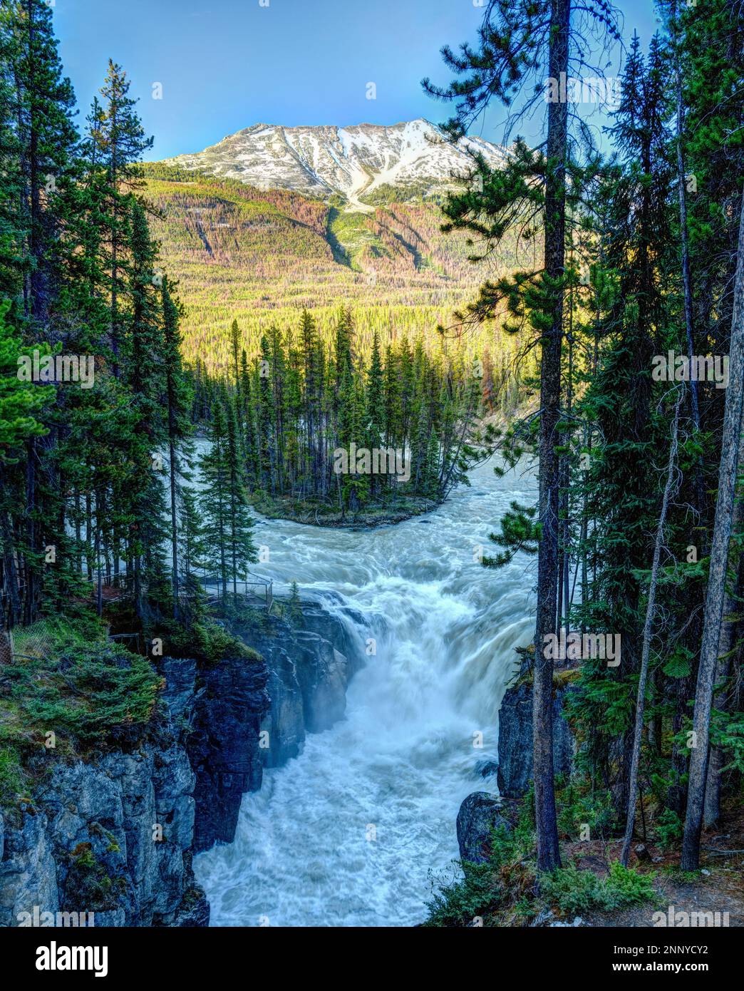 Paesaggio con cascata, foresta e montagna, Sunwapta Falls, fiume Sunwapta, Alberta, Canada Foto Stock