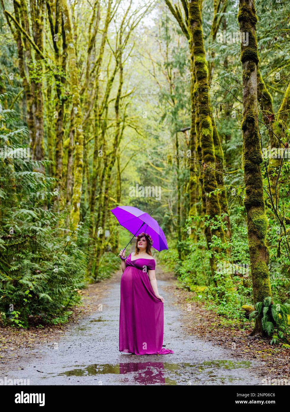Donna incinta in vestito viola con ombrello viola nella foresta Foto Stock