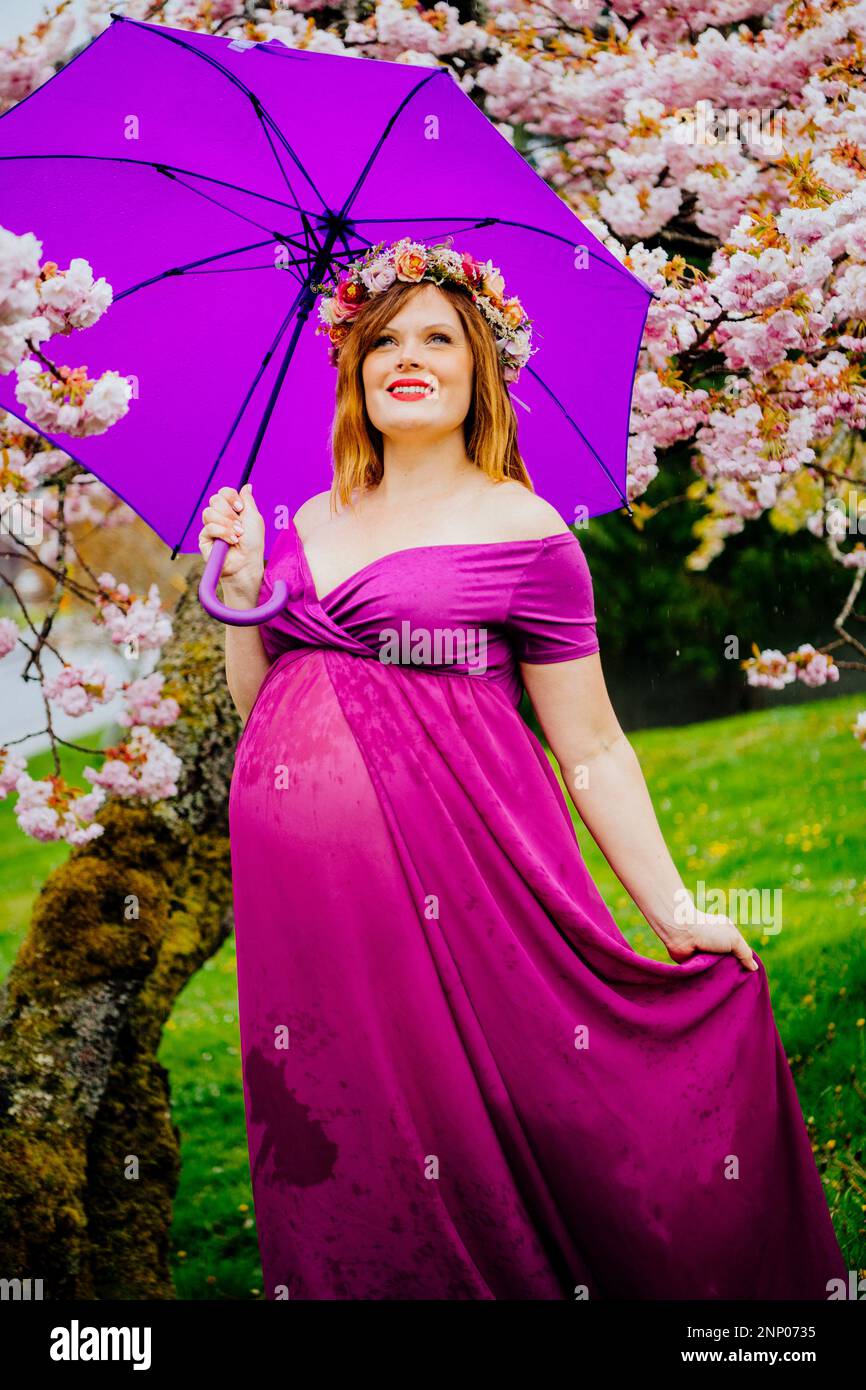 Donna incinta in abito viola con ombrello viola sotto ciliegio Foto Stock