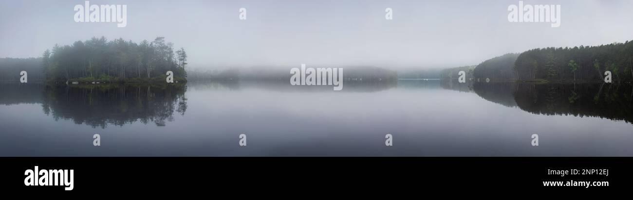 Nebbia su Togue Pond, Baxter state Park, Maine, USA Foto Stock