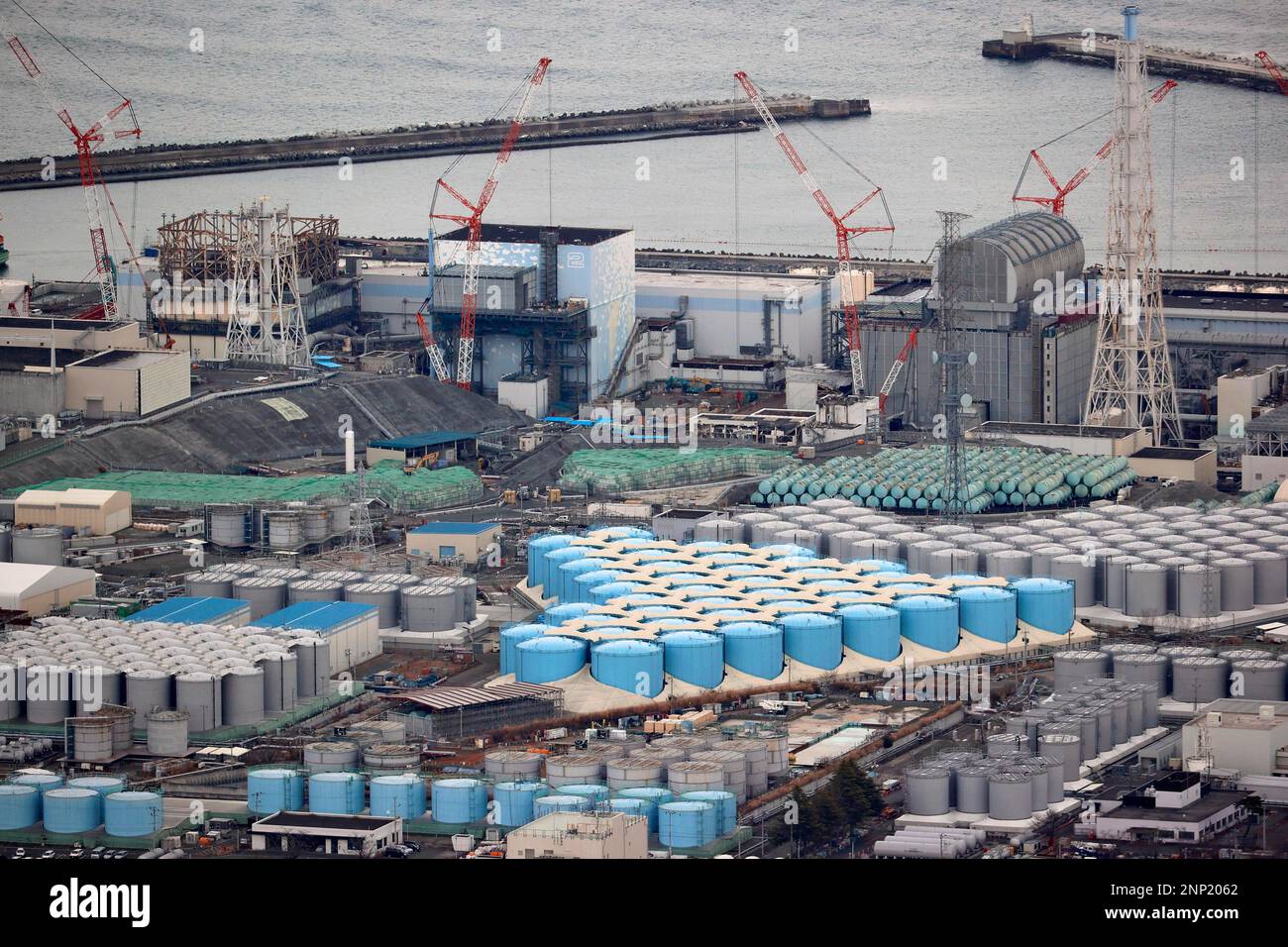 Fukushima tsunami deaths