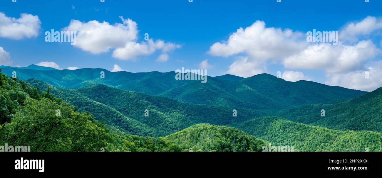 Paesaggio montano, montagne Blue Ridge, Parco Nazionale di Shenandoah, Virginia Foto Stock