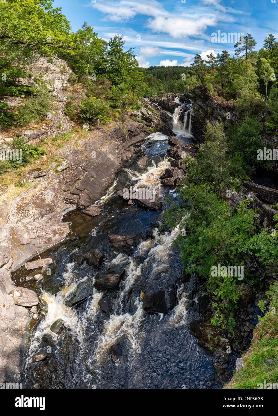 Cascata sul fiume, Rogie Falls, Black Water, Ross-shire, Scozia Foto Stock