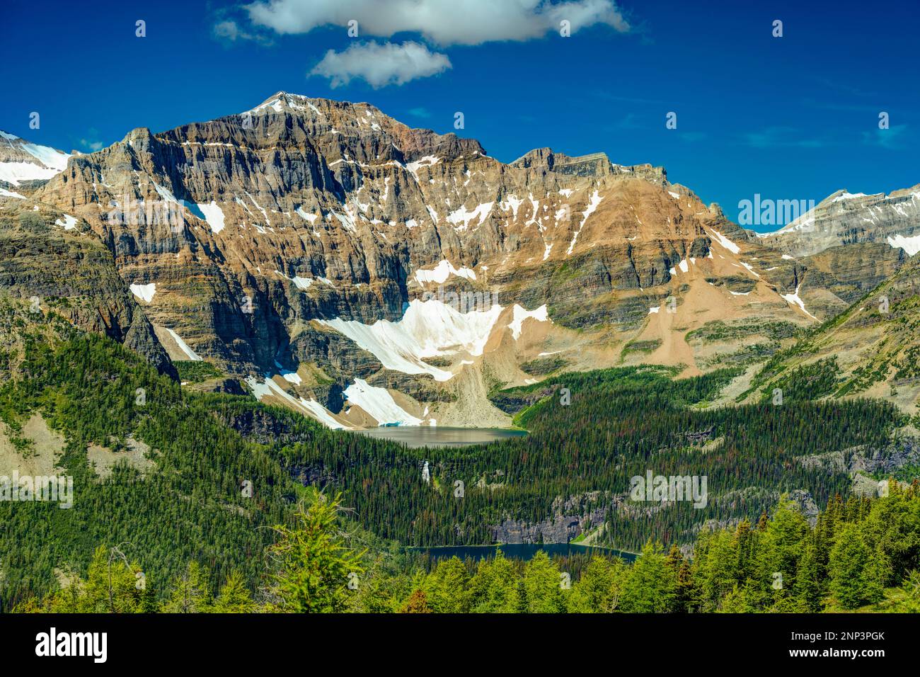 Healy Pass, Banff National Park, Alberta, Canada Foto Stock