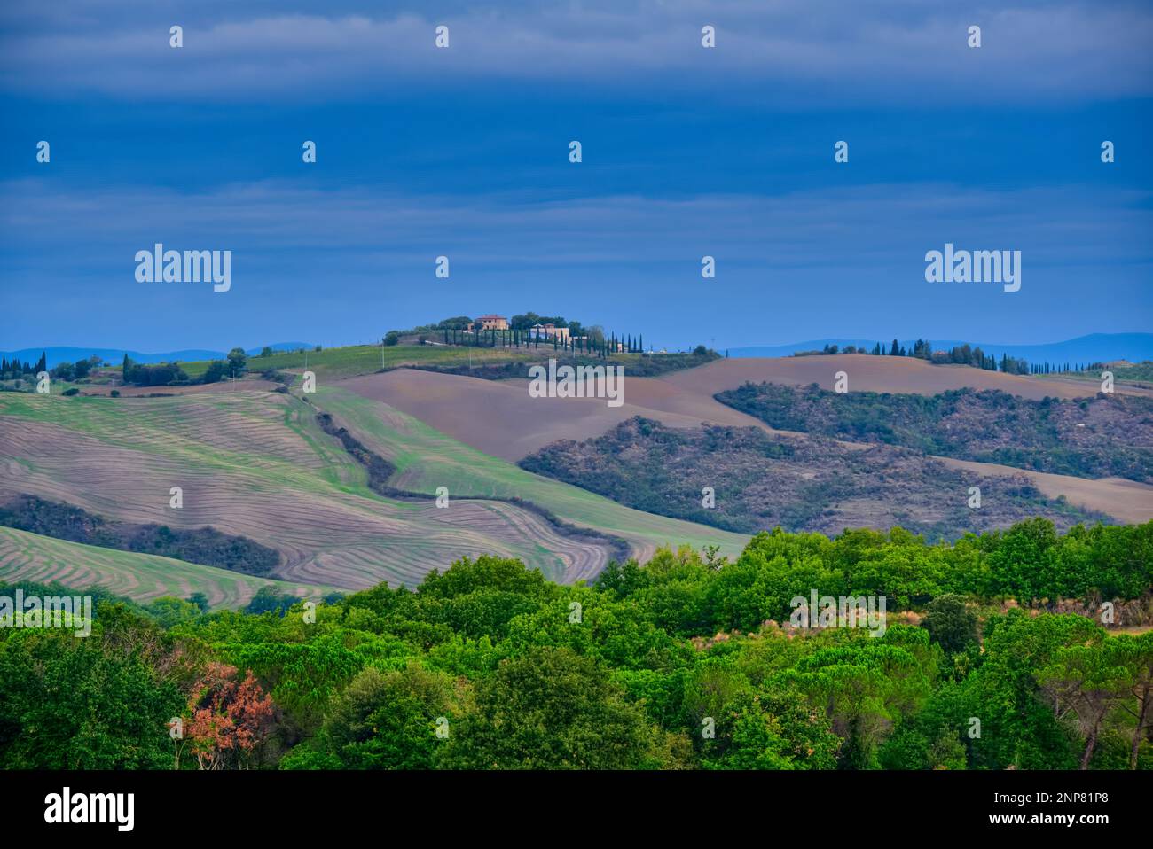 Location:43° 4' 19,48' N, 11° 37' 8,92' e Collombuti, San Quirico d'Orcia, Unione dei Comuni Amiata Val d'Orcia, Siena, Toscana, 53026, Italia prese @ Foto Stock