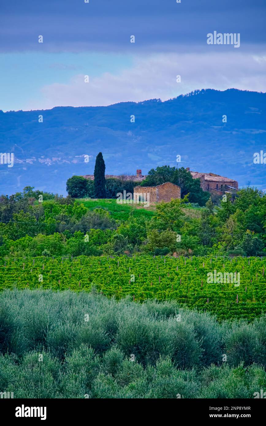 Ubicazione:43° 4' 19,31' N, 11° 37' 9,35' e Collombuti, San Quirico d'Orcia, Unione dei Comuni Amiata Val d'Orcia, Siena, Toscana, 53026, Italia Foto Stock